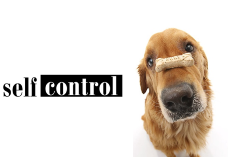 Self Control