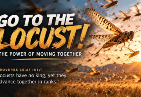 Diligence 4 – Go to the Locust